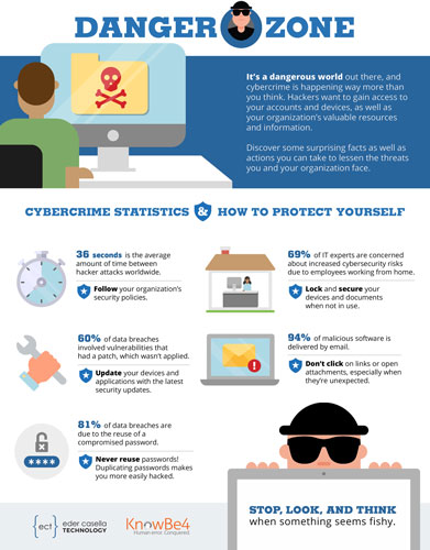 Listing of cybercrime statistics and tips on protecting yourself.