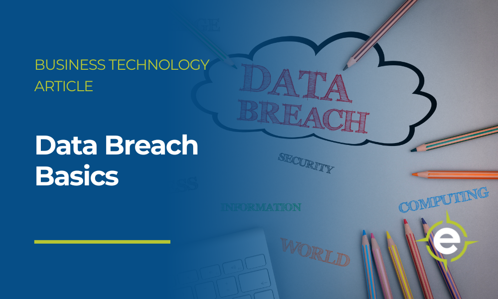 Data Breach Basics